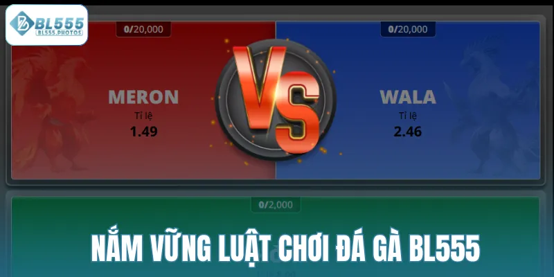 Nắm vững luật chơi đá gà BL555